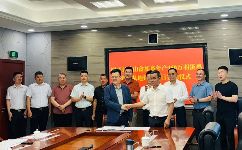 艾格多集團桐廬莪山畬族鄉150萬羽蛋雞養殖項目簽約圓 滿完成
