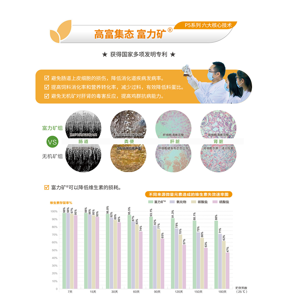 20220511粉殼蛋雞專(zhuān)用料P5系列_產(chǎn)品詳情頁(yè)_畫(huà)板 5