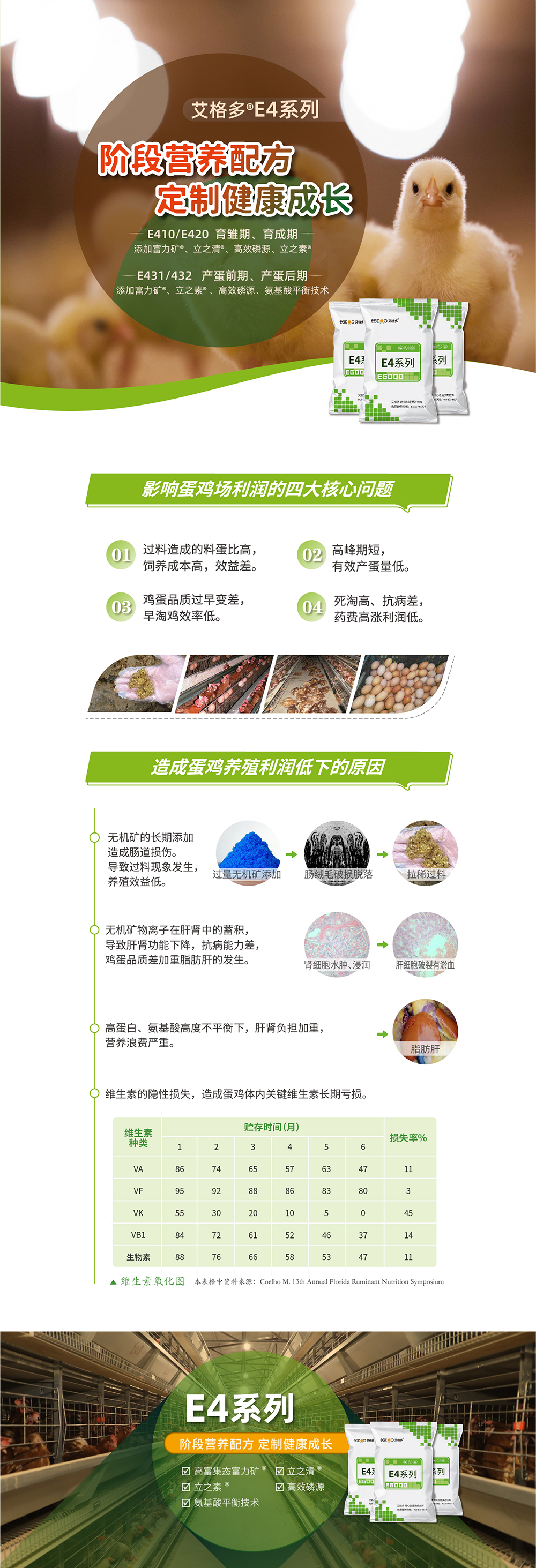 E4系列_產品詳情頁_畫板 1